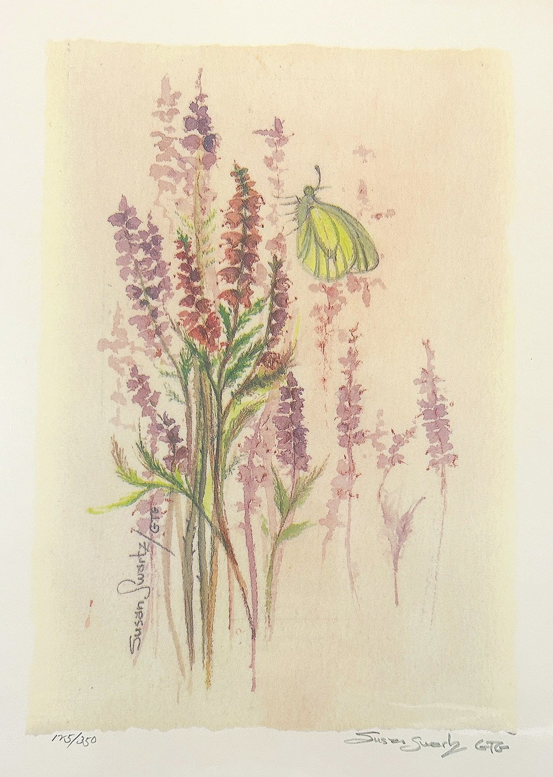 Solitude - Print — Susan Swartz Studios